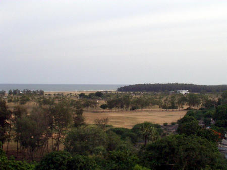 view