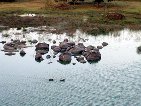 bird sanctuary