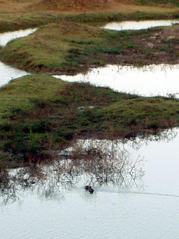 bird sanctuary