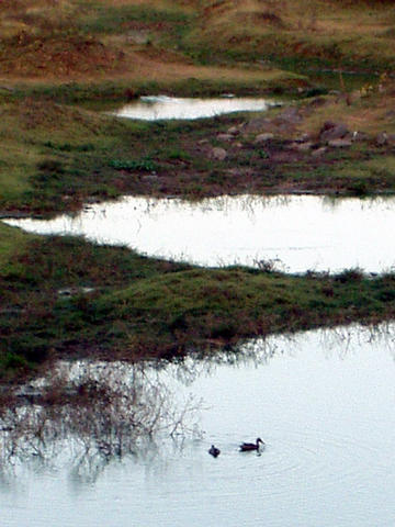bird sanctuary