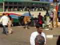 bus stand chengalpattu