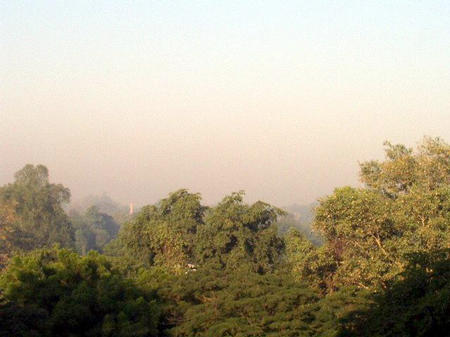 Agra Morgens