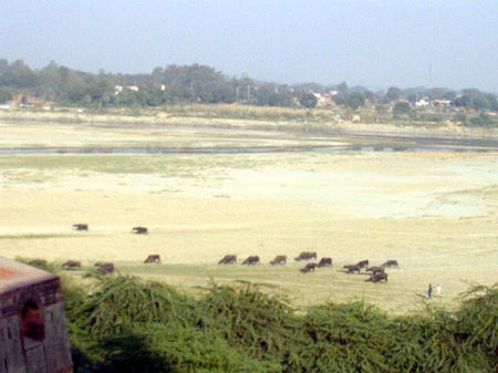 Blick ueber den Yamuna