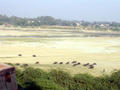 Blick ueber den Yamuna