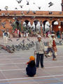 Jama Masjid