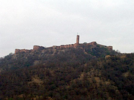 Amer Fort