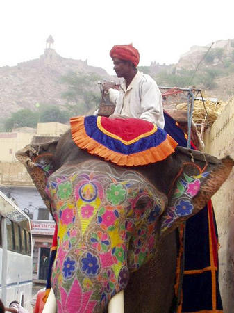 Elephantentransport ins Fort