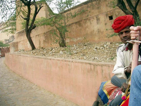 Elephantentransport ins Fort