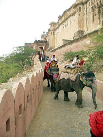 Elephantentransport ins Fort