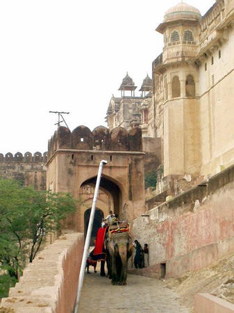 Elephantentransport ins Fort
