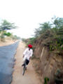 Rajastan -- Turbanland