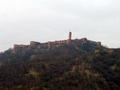 Amer Fort