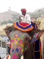 Elephantentransport ins Fort