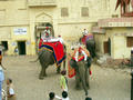 Elephantentransport ins Fort