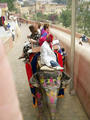 Elephantentransport ins Fort