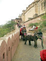 Elephantentransport ins Fort