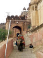 Elephantentransport ins Fort