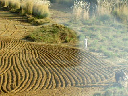 Rajasthan Landschaft