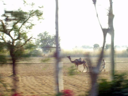 Rajasthan Landschaft