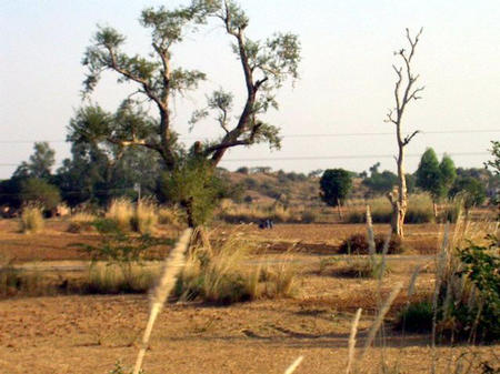 Rajasthan Landschaft