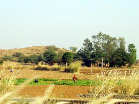 Rajasthan Landschaft