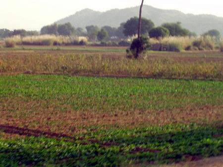 Rajasthan Landschaft
