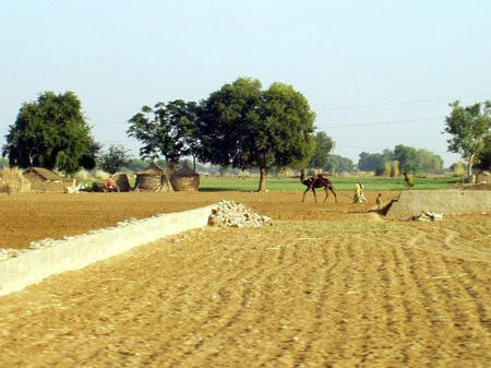Rajasthan Landschaft