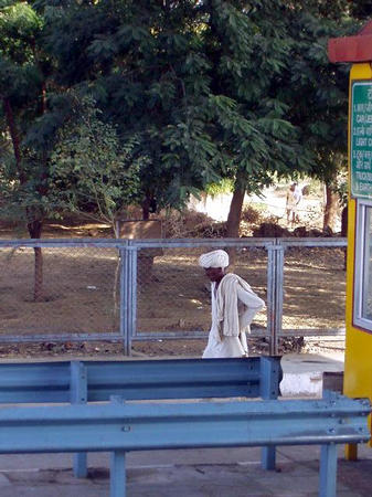 Rajasthan Turban