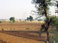 Rajasthan Landschaft