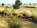 Rajasthan Landschaft