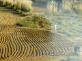 Rajasthan Landschaft
