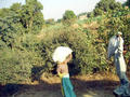 Rajasthan Landschaft