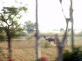 Rajasthan Landschaft