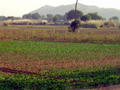 Rajasthan Landschaft