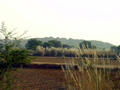 Rajasthan Landschaft