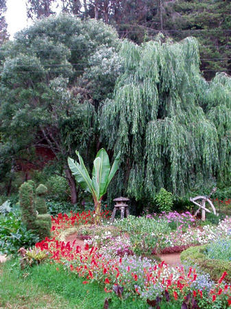 Botanischer Garten