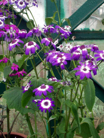 Botanischer Garten