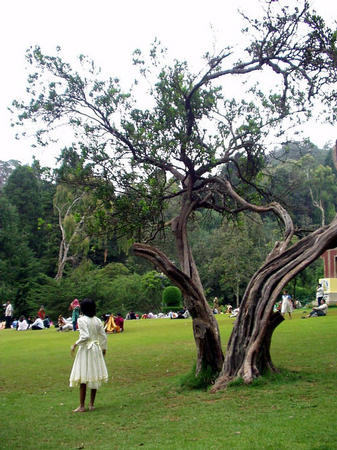 Botanischer Garten