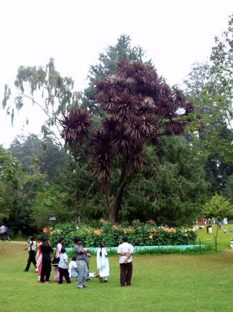 Botanischer Garten