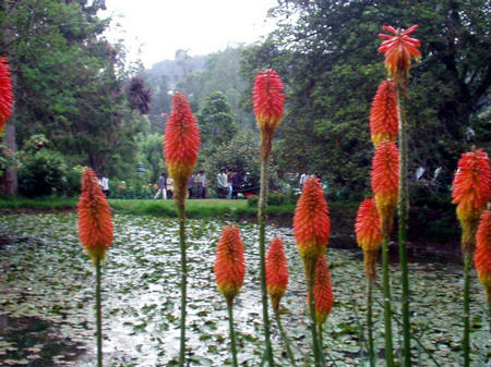 Botanischer Garten