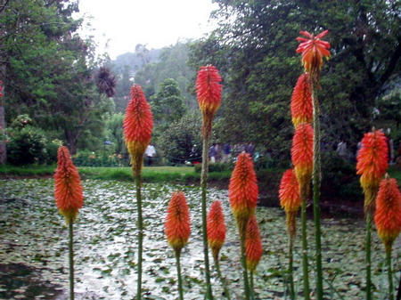 Botanischer Garten