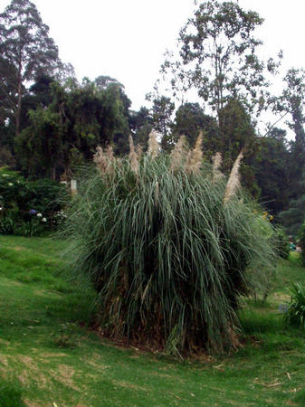 Botanischer Garten