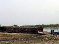 Pondicherry Hafen...