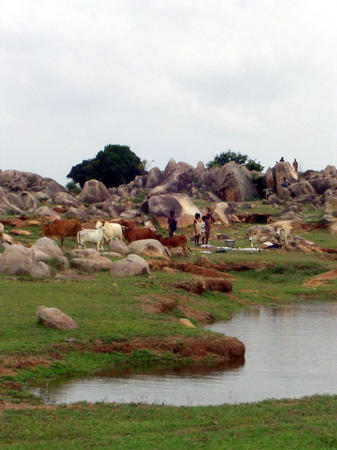 Naehe Kalpakkam -- Felslandschaft