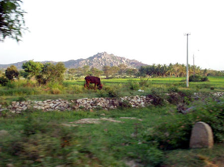 Way back to Mysore