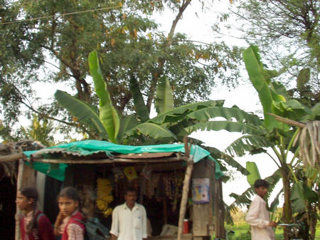 Way back to Mysore