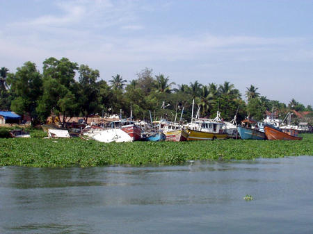Cochin Hafen 