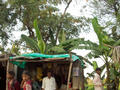 Way back to Mysore