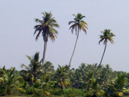 backwater trip
