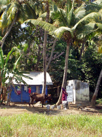 backwater trip